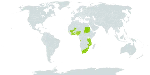 Entada wahlbergia world distribution map, present in Angola, Côte d'Ivoire, Ghana, Guinea-Bissau, Mali, Mozambique, Nigeria, Sudan, Togo, Tanzania, United Republic of, Uganda, and South Africa