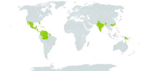 Enterolobium cyclocarpum world distribution map, present in Belize, Brazil, China, Colombia, Costa Rica, Dominican Republic, Fiji, Ghana, Guatemala, Guyana, Haiti, India, Jamaica, Mexico, Nicaragua, New Zealand, Panama, Philippines, Papua New Guinea, Réunion, Singapore, Sierra Leone, El Salvador, United States of America, and Venezuela (Bolivarian Republic of)