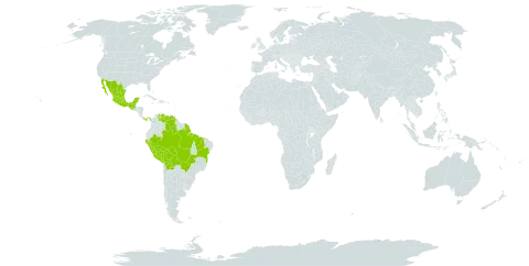 Enterolobium schomburgkii world distribution map, present in American Samoa, Bolivia (Plurinational State of), Brazil, Guatemala, French Guiana, Mexico, Panama, Peru, and Venezuela (Bolivarian Republic of)