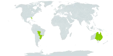 Enydra fluctuans world distribution map, present in Australia, Brazil, and United States of America