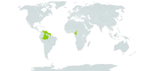 Eperua falcata world distribution map, present in American Samoa, Brazil, Cameroon, French Guiana, Guyana, Suriname, Trinidad and Tobago, and Venezuela (Bolivarian Republic of)