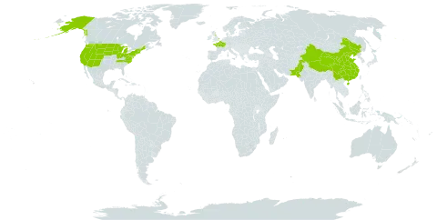 Epilobium angustifolium world distribution map, present in China, France, United Kingdom of Great Britain and Northern Ireland, Pakistan, and United States of America