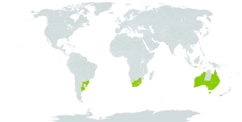 Epilobium hirtigerum world distribution map, present in Argentina, Australia, Brazil, Indonesia, New Zealand, Timor-Leste, Uruguay, and South Africa