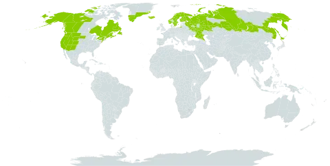 Epilobium hornemannii world distribution map, present in Canada, Finland, Greenland, Iceland, Japan, Norway, Russian Federation, Sweden, and United States of America