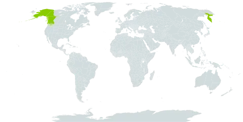 Epilobium hornemannii subsp. behringianum world distribution map, present in Canada, Russian Federation, and United States of America