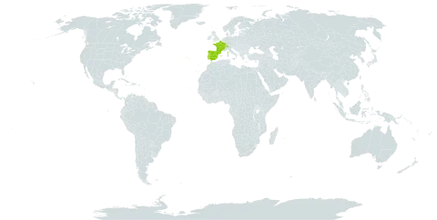 Epipactis fageticola world distribution map, present in Switzerland, Spain, France, and Portugal