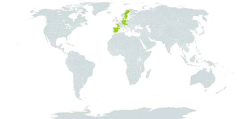 Epipactis phyllanthes world distribution map, present in Austria, Germany, Denmark, Spain, France, Ireland, and Sweden