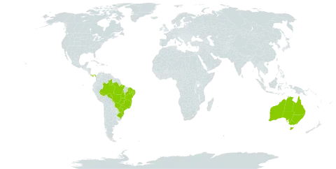 Epiphyllum phyllanthus world distribution map, present in Australia, Brazil, and Panama