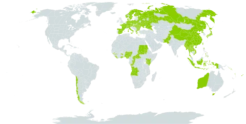 Epipogium world distribution map, present in Angola, Australia, Austria, Bulgaria, Belarus, Central African Republic, Switzerland, Chile, China, Congo, Czech Republic, Germany, Denmark, Spain, Finland, Fiji, France, Ghana, Guinea, Greece, Hungary, Indonesia, Italy, Japan, Kenya, Lao People's Democratic Republic, Liberia, Moldova (Republic of), Myanmar, Nigeria, Norway, Nepal, Pakistan, Philippines, Poland, Korea (Democratic People's Republic of), Romania, Russian Federation, Sudan, Solomon Islands, Sweden, Turks and Caicos Islands, Thailand, Taiwan, Province of China, Uganda, Ukraine, Viet Nam, and Vanuatu