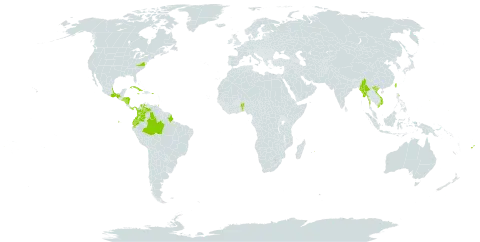 Episcia cupreata world distribution map, present in Benin, Brazil, Colombia, Cuba, Ecuador, Fiji, Micronesia (Federated States of), Guam, Honduras, Jamaica, Mexico, Myanmar, Mauritius, Nicaragua, Panama, Palau, Puerto Rico, El Salvador, Trinidad and Tobago, Taiwan, Province of China, United States of America, Venezuela (Bolivarian Republic of), and Viet Nam