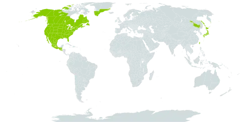 Equisetum praealtum world distribution map, present in Canada, China, Greenland, Guatemala, Japan, Mexico, Russian Federation, El Salvador, Taiwan, Province of China, and United States of America