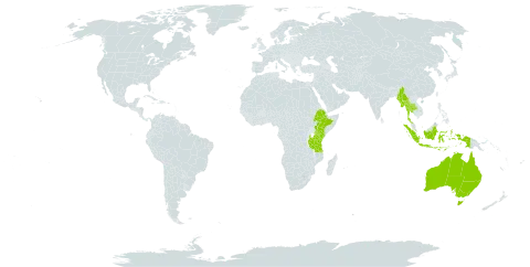 Eragrostiella bifaria world distribution map, present in Andorra, Australia, Ethiopia, Indonesia, Kenya, Myanmar, Thailand, and Tanzania, United Republic of