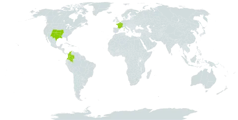 Eragrostis curtipedicellata world distribution map, present in Colombia, France, and United States of America