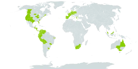 Eragrostis mexicana world distribution map, present in Australia, Austria, Bolivia (Plurinational State of), Brazil, Canada, Switzerland, Colombia, Costa Rica, Czech Republic, Germany, Denmark, Ecuador, Spain, France, Greece, Guatemala, Honduras, Malaysia, Nicaragua, Netherlands, Panama, Peru, Poland, Portugal, Uruguay, United States of America, Venezuela (Bolivarian Republic of), and South Africa