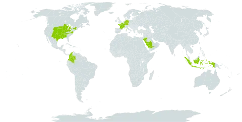 Eragrostis trichodes world distribution map, present in Åland Islands, Colombia, Germany, France, Micronesia (Federated States of), Indonesia, Saudi Arabia, and United States of America