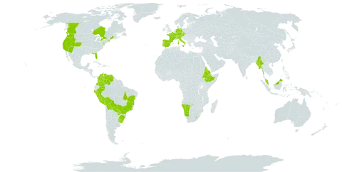 Eragrostis virescens world distribution map, present in Austria, Bolivia (Plurinational State of), Brazil, Canada, Switzerland, Colombia, Czech Republic, Germany, Eritrea, Spain, Ethiopia, France, Italy, Lesotho, Myanmar, Malaysia, Namibia, Peru, Palau, Portugal, Paraguay, Uruguay, United States of America, and Venezuela (Bolivarian Republic of)