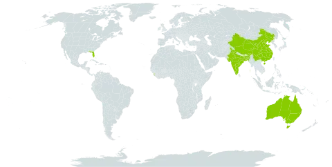 Eranthemum world distribution map, present in Australia, Bangladesh, China, India, Sri Lanka, Nepal, and United States of America