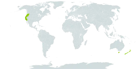 Erechtites glomeratus world distribution map, present in Australia, New Zealand, and United States of America