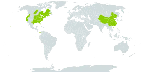 Erechtites hieraciifolius world distribution map, present in Canada, China, Panama, and United States of America