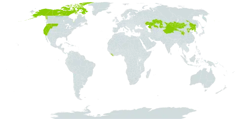 Eremogone capillaris world distribution map, present in Canada, China, Kazakhstan, Liberia, Mongolia, Korea (Democratic People's Republic of), and United States of America