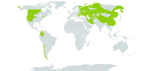 Eremopyrum triticeum world distribution map, present in Canada, Chile, China, Colombia, Iran (Islamic Republic of), Kazakhstan, Kyrgyzstan, Romania, Russian Federation, Turks and Caicos Islands, Turkmenistan, Ukraine, United States of America, and Uzbekistan