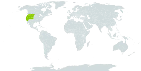 Eremothera minor world distribution map, present in United States of America