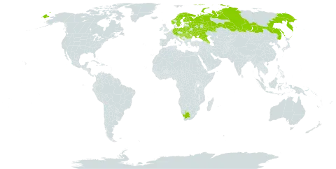 Erigeron acris subsp. droebachiensis world distribution map, present in Austria, Azerbaijan, Belarus, Germany, Estonia, Finland, Georgia, Croatia, Hungary, Lithuania, Montenegro, Norway, Poland, Romania, Russian Federation, Slovakia, Sweden, Ukraine, and South Africa