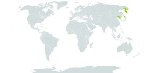 Erigeron alpicola world distribution map, present in China, Japan, Liberia, Korea (Democratic People's Republic of), and Russian Federation