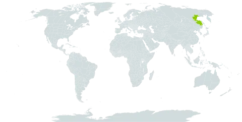 Erigeron burejensis world distribution map, present in Russian Federation