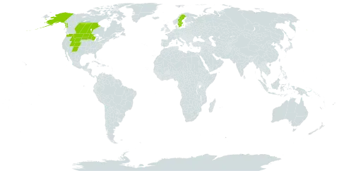 Erigeron glabellus world distribution map, present in Canada, Sweden, and United States of America