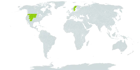 Erigeron subtrinervis world distribution map, present in Sweden and United States of America