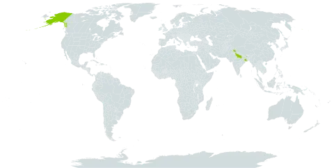 Erigeron uniflorus world distribution map, present in China, France, India, and United States of America