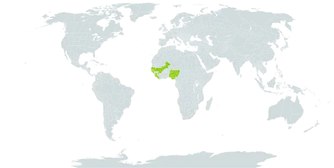 Eriocaulon nigericum world distribution map, present in Guinea, Guinea-Bissau, Liberia, Mali, Nigeria, Senegal, and Sierra Leone