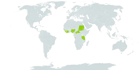 Eriosema laurentii world distribution map, present in Angola, Central African Republic, Côte d'Ivoire, Guinea, Guinea-Bissau, Liberia, Nigeria, Sudan, Sierra Leone, Tanzania, United Republic of, and Uganda