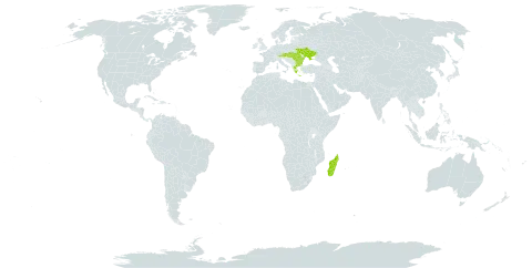 Eriosema procumbens world distribution map, present in Austria, Bulgaria, Greece, Hungary, Madagascar, Romania, Slovakia, and Ukraine