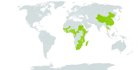 Eriosema psoraleoides world distribution map, present in Angola, Burundi, Benin, Burkina Faso, Botswana, Central African Republic, China, Côte d'Ivoire, Cameroon, Congo, Ethiopia, Ghana, Guinea, Guinea-Bissau, Kenya, Madagascar, Mali, Mozambique, Malawi, Nigeria, Rwanda, Sudan, Senegal, Sierra Leone, Togo, Thailand, Tanzania, United Republic of, Uganda, South Africa, Zambia, and Zimbabwe