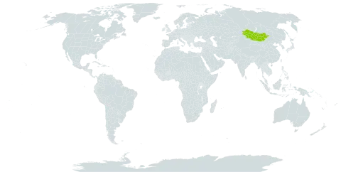 Eritrichium alpinum world distribution map, present in Mongolia and Russian Federation