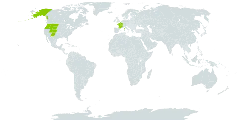 Eritrichium nanum world distribution map, present in France and United States of America