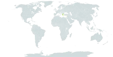 Erophaca baetica subsp. orientalis world distribution map, present in Cyprus, Greece, and Lebanon