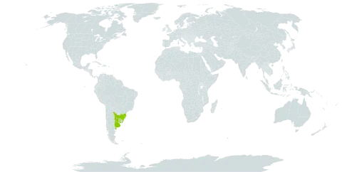 Eryngium echinatum world distribution map, present in Argentina, Brazil, and Uruguay