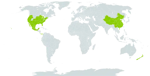 Eryngium world distribution map, present in China, Mexico, New Zealand, Panama, and United States of America