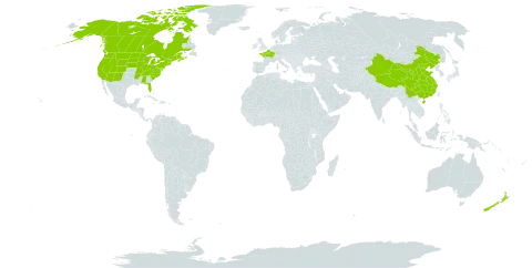 Erysimum cheiranthoides world distribution map, present in Canada, China, France, New Zealand, and United States of America