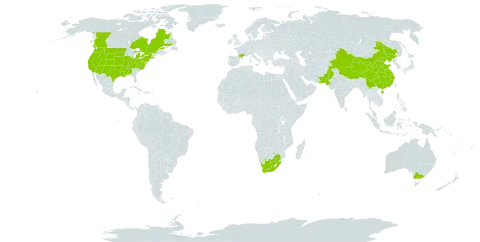 Erysimum repandum world distribution map, present in Australia, Canada, China, France, India, Pakistan, United States of America, and South Africa