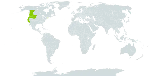 Erythranthe breviflora world distribution map, present in Canada and United States of America