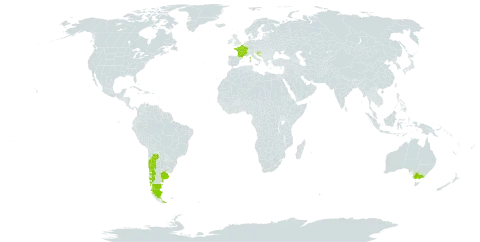 Erythranthe lutea world distribution map, present in Argentina, Australia, Chile, France, United Kingdom of Great Britain and Northern Ireland, Croatia, and Uruguay