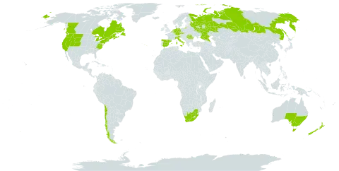 Erythranthe moschata world distribution map, present in Australia, Belgium, Canada, Chile, Czech Republic, Germany, Spain, France, United Kingdom of Great Britain and Northern Ireland, Italy, Luxembourg, Netherlands, New Zealand, Portugal, Romania, Russian Federation, Saint Pierre and Miquelon, Slovenia, United States of America, and South Africa