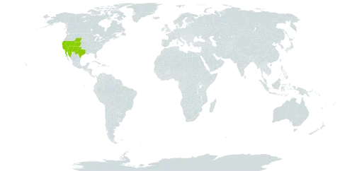 Erythranthe rubella world distribution map, present in Mexico and United States of America