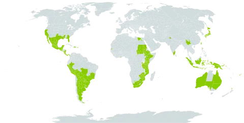 Erythrina crista-galli world distribution map, present in Argentina, American Samoa, Australia, Bonaire, Sint Eustatius and Saba, Belize, Bolivia (Plurinational State of), Brazil, China, Costa Rica, Dominican Republic, Egypt, Ethiopia, Fiji, Ghana, Guadeloupe, Guatemala, Indonesia, India, Japan, Kenya, Mexico, Mozambique, Martinique, Mauritius, Nicaragua, Nepal, New Zealand, Panama, Peru, Papua New Guinea, Puerto Rico, Paraguay, Réunion, Rwanda, Sudan, El Salvador, Seychelles, Taiwan, Province of China, Tanzania, United Republic of, Uganda, Uruguay, United States of America, South Africa, and Zimbabwe