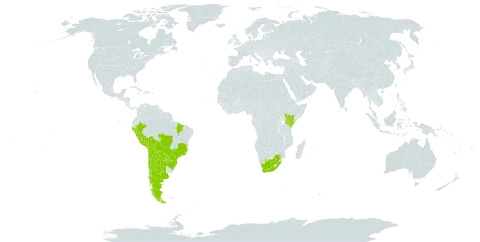 Erythrina falcata world distribution map, present in Argentina, American Samoa, Bolivia (Plurinational State of), Brazil, Chile, Kenya, Peru, Paraguay, and South Africa