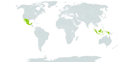 Erythrina lanata world distribution map, present in Ghana, Indonesia, Mexico, and Singapore